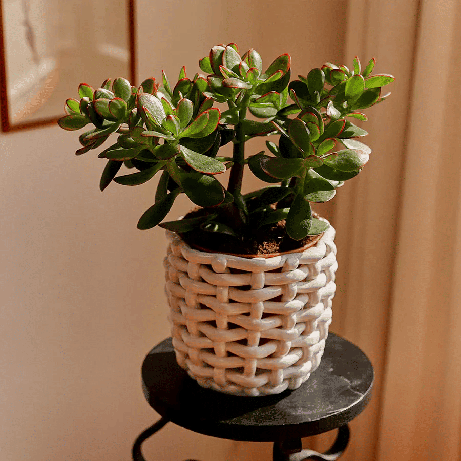 White Basketweave Planter