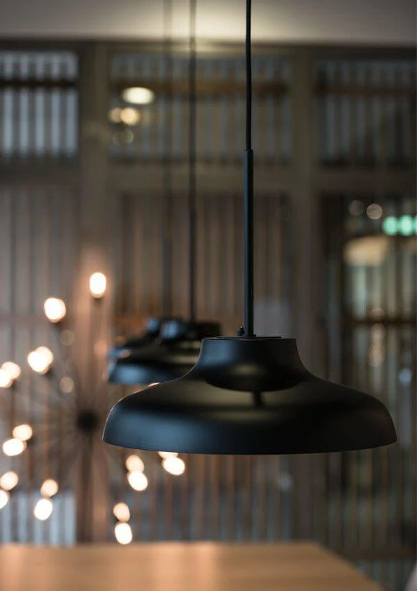 Bolero Pendant Light