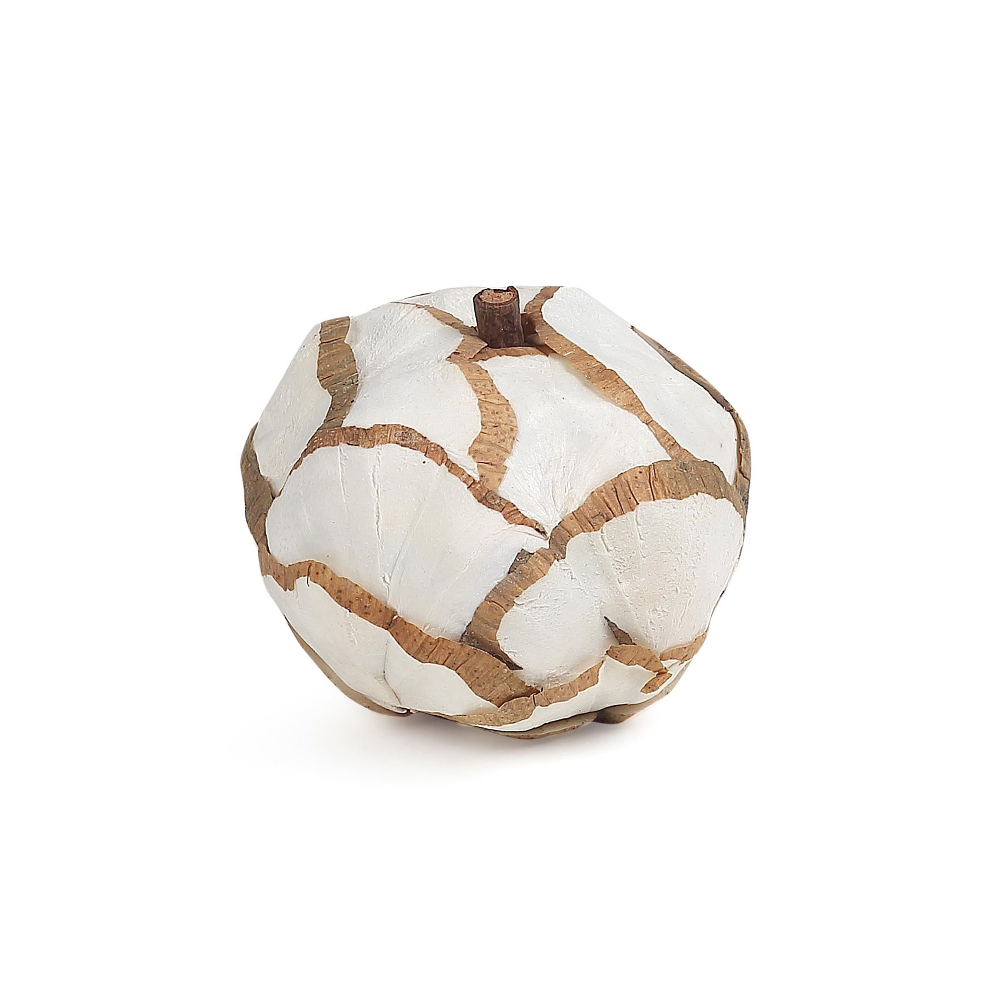 Halloween Sola Wood Pumpkin- Dia 8 inch (SET OF 6)
