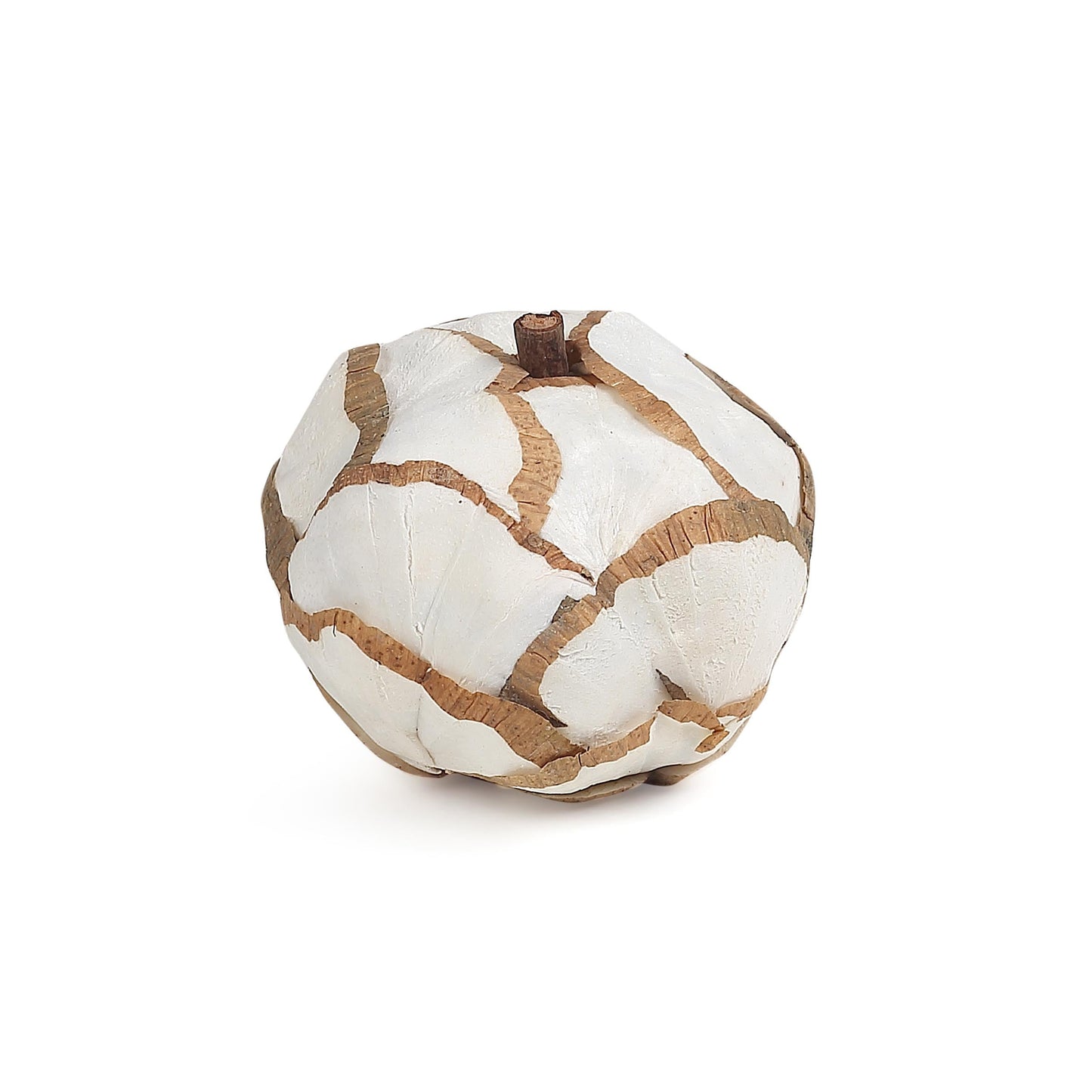 Halloween Sola Wood Pumpkin- Dia 8 inch (SET OF 6)