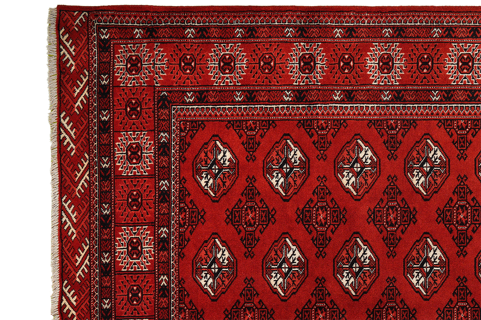 Turkman Carpet