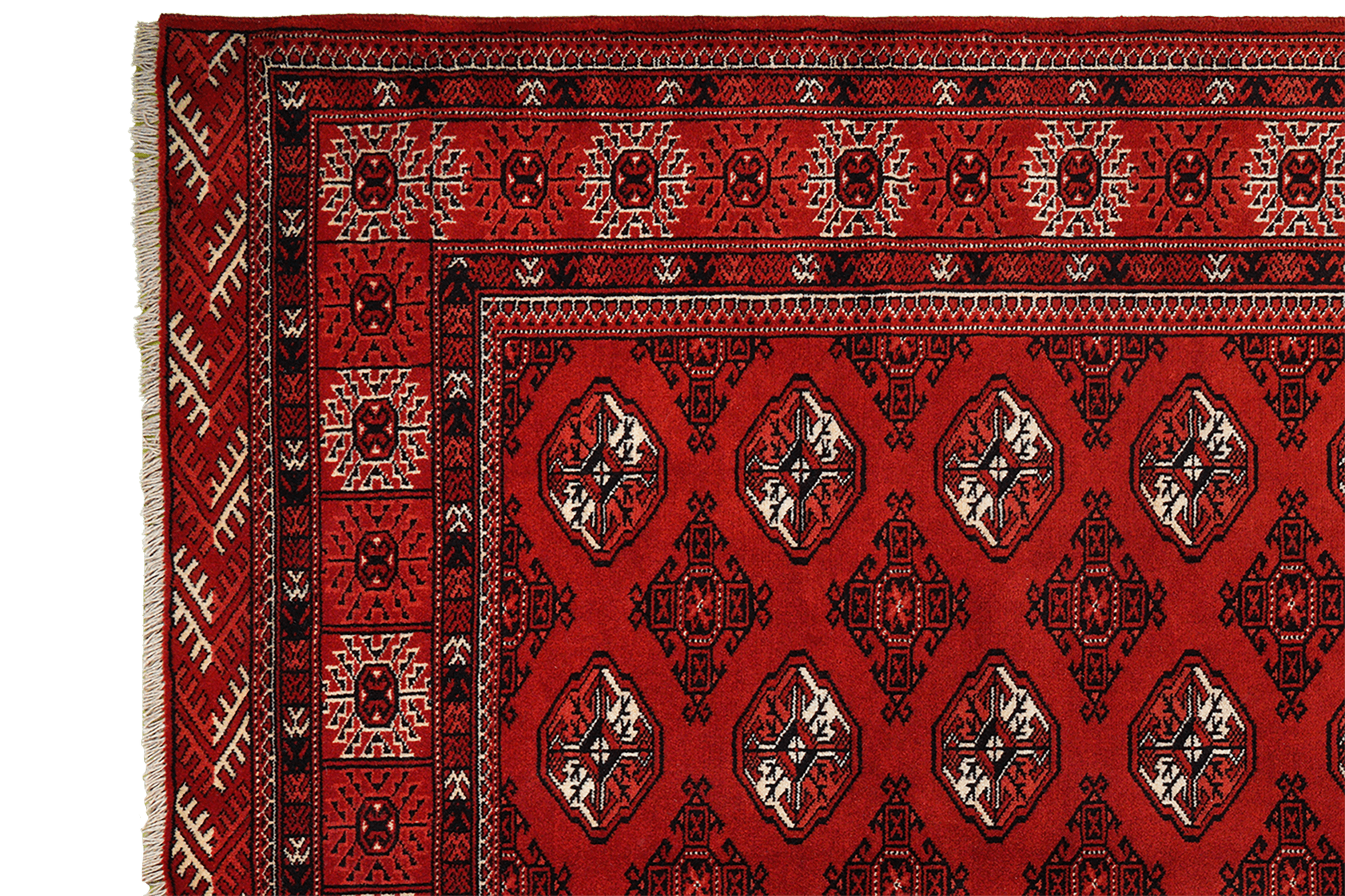 Turkman Carpet