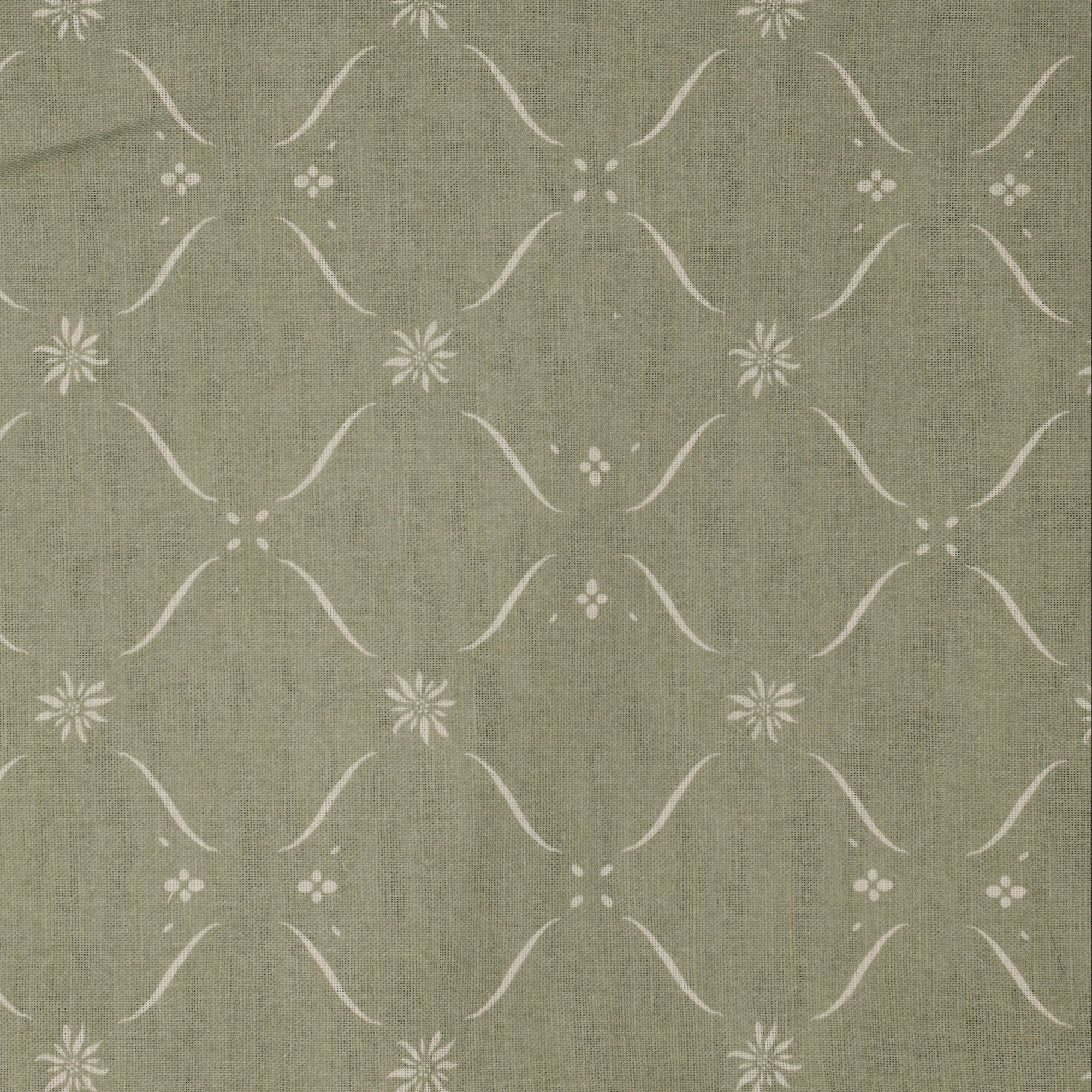 Edelweiss Trellis - Alpine Green