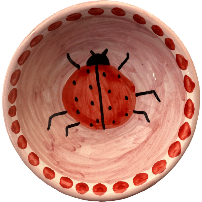 Amalfi Bowl 11 cm – Ladybug