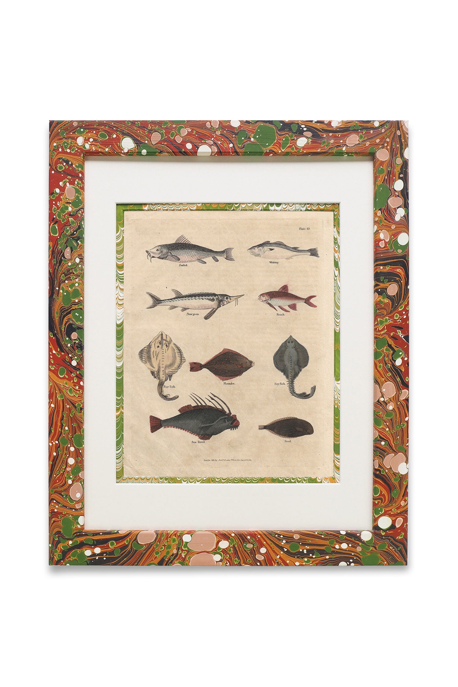 Buffon No.49 Igneus Framed Print
