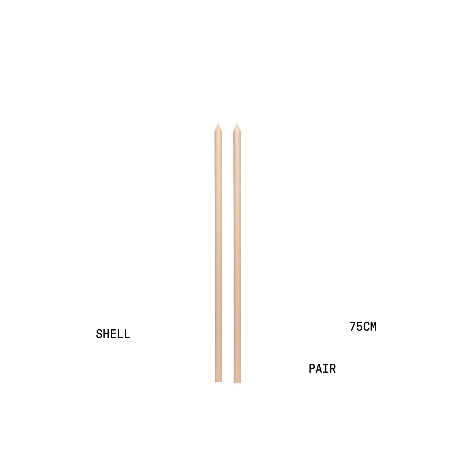 Shell Tapered METRE Candle Pair