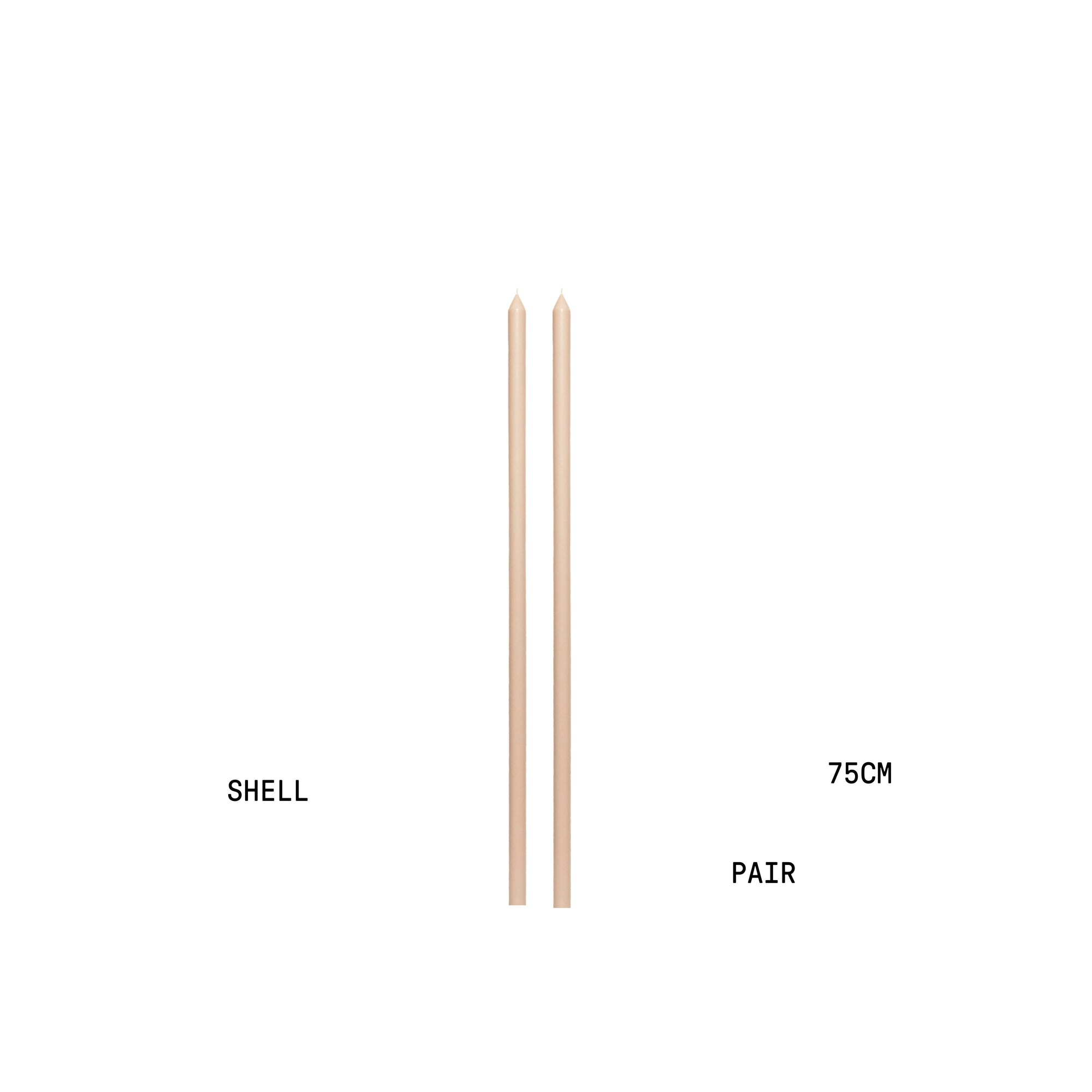 Shell Tapered METRE Candle Pair