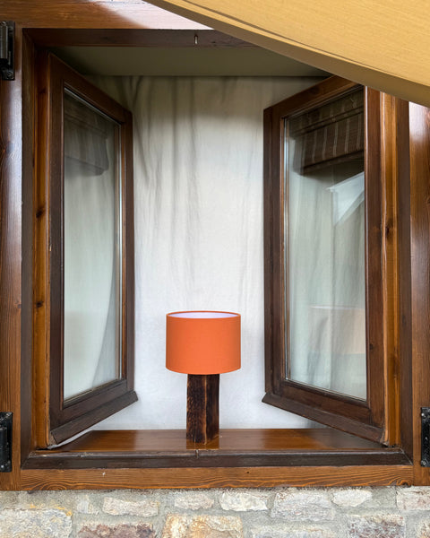 DW Lamp 009
