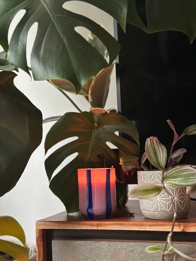 Atina Candle | Blackcurrant & Oudh Scented Candle