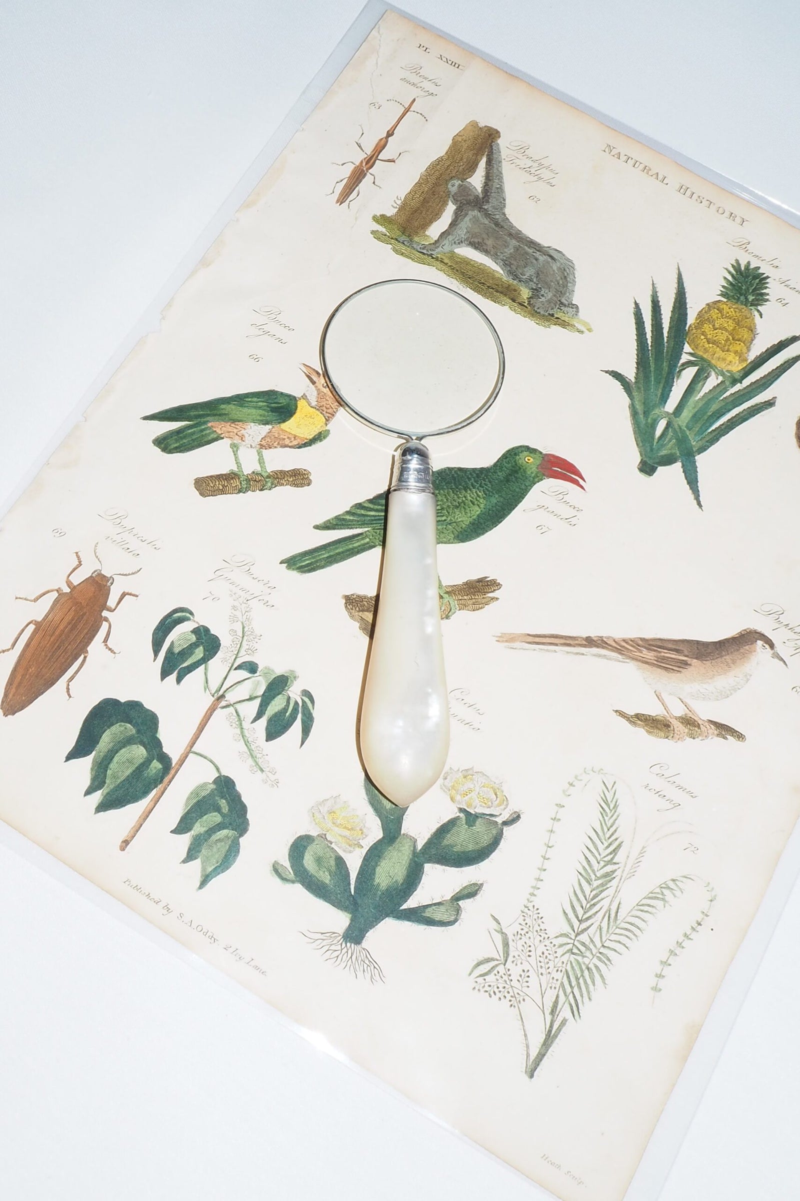 Silver and Mother of Pearl Magnifying Glass