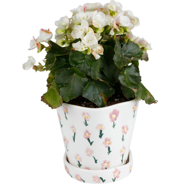 Prairie Planter