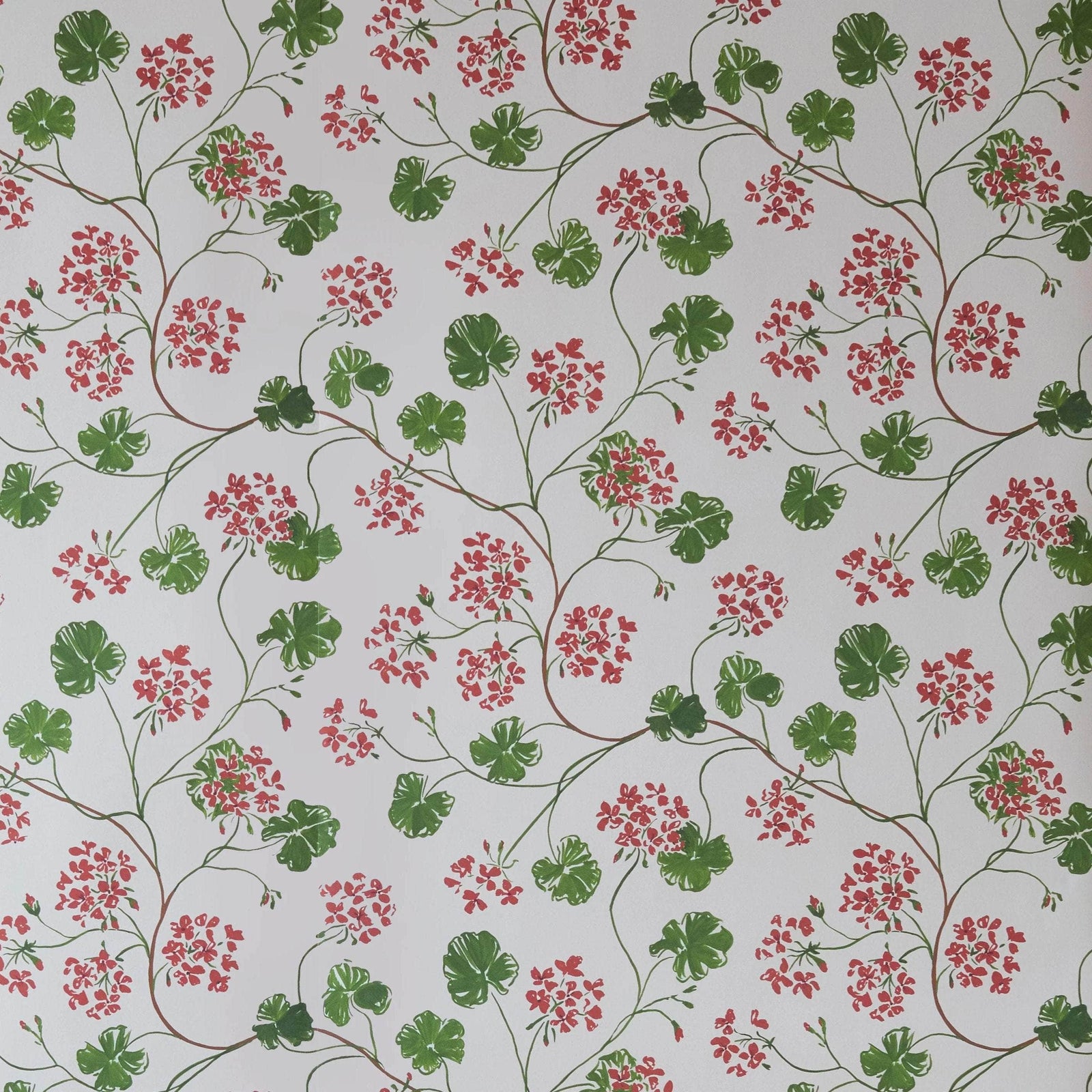Geraniums Wallpaper