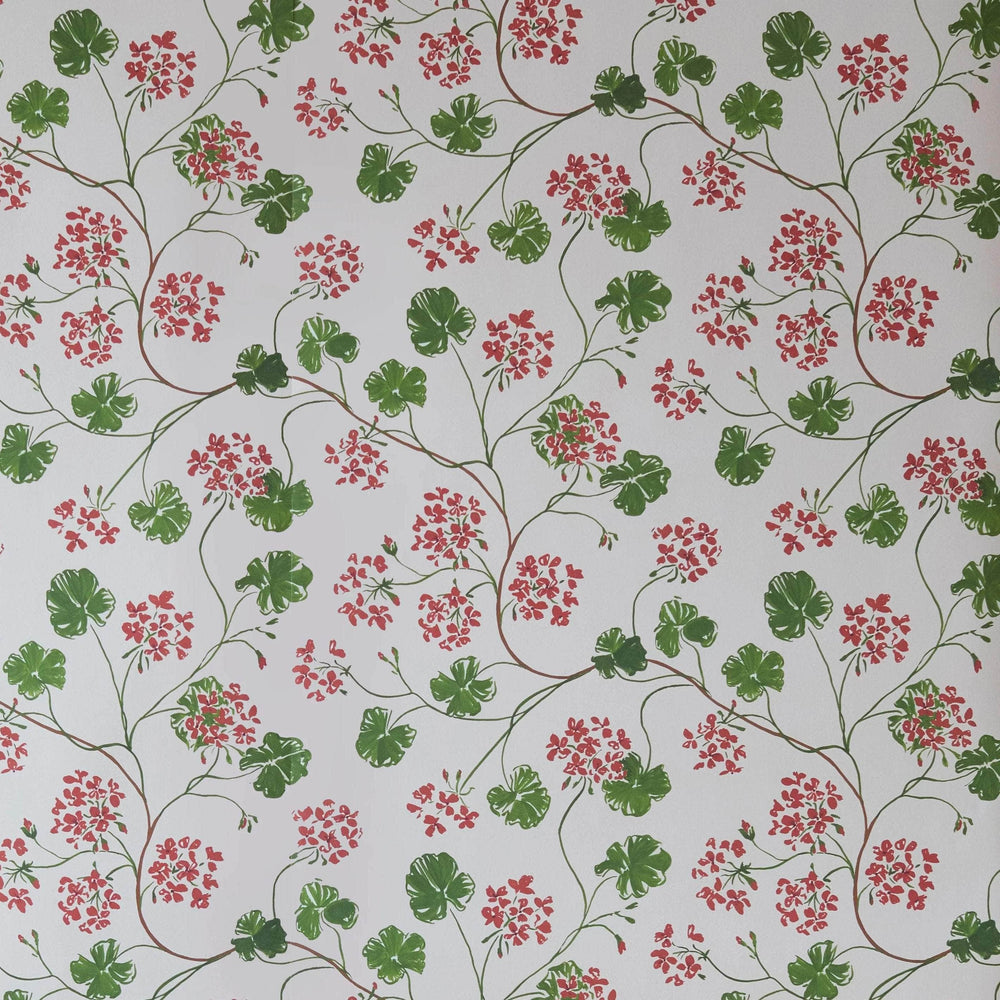Geraniums Wallpaper