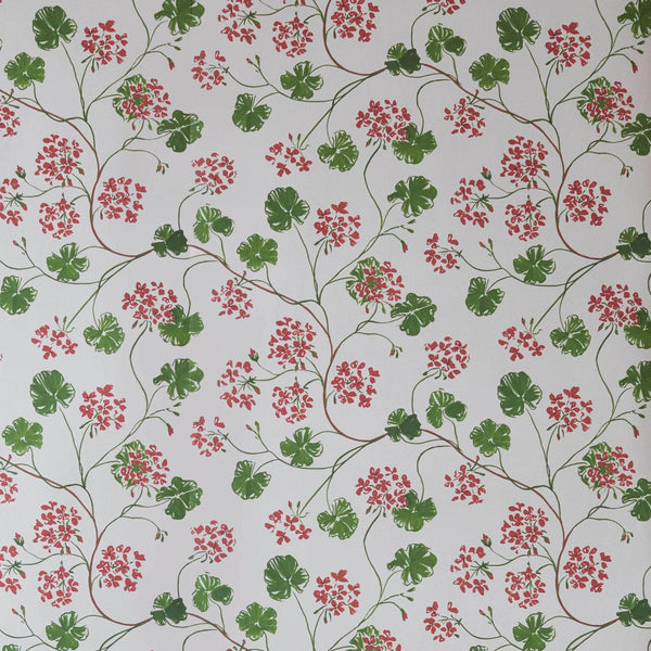 Geraniums Wallpaper