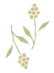 Soft Tea Towels – Soup