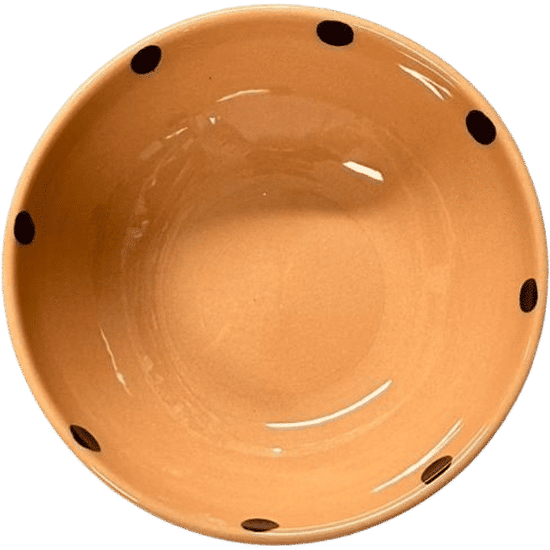 Ladybug Terracotta Bowl 14 cm
