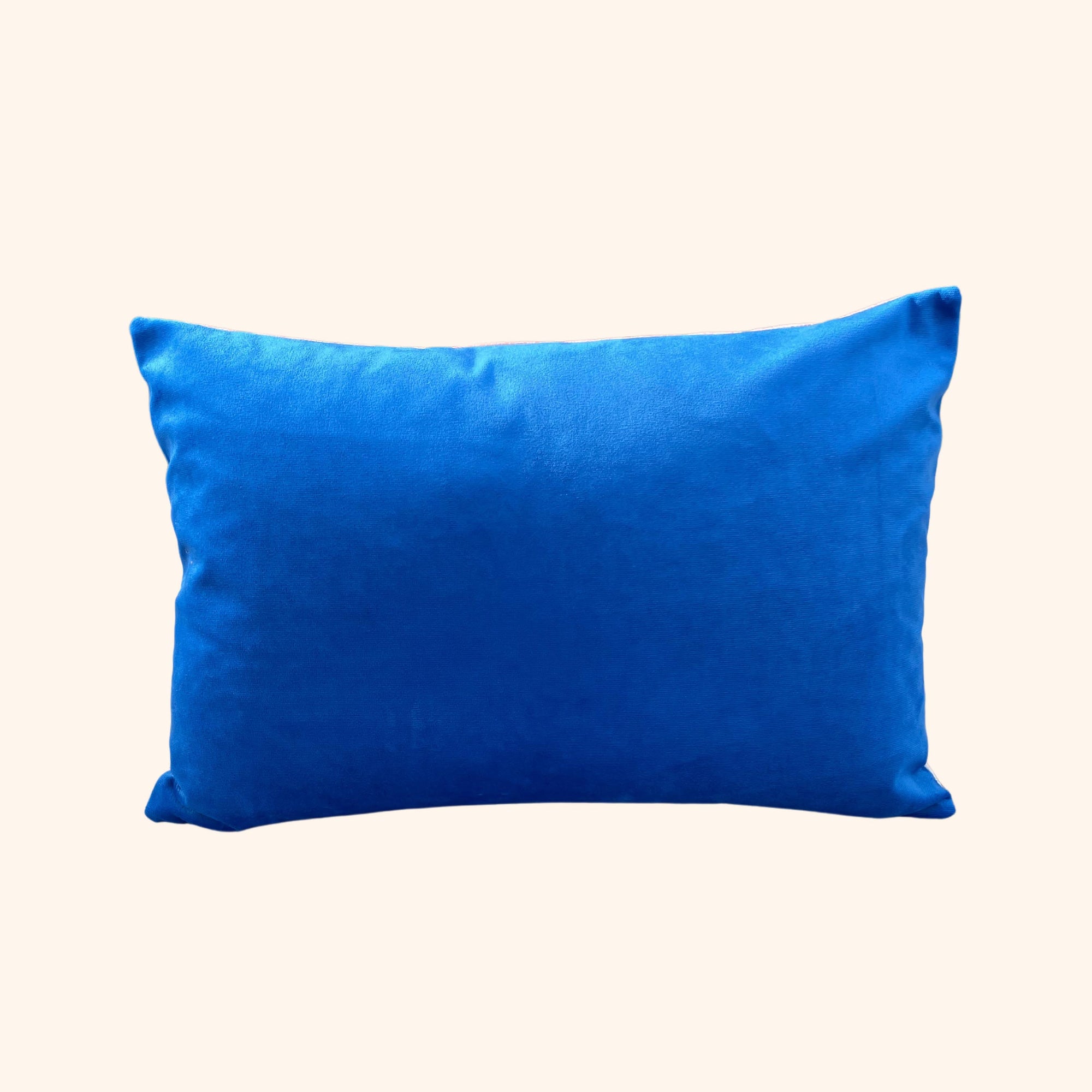 Uju Cushion - In Gold And In Blue