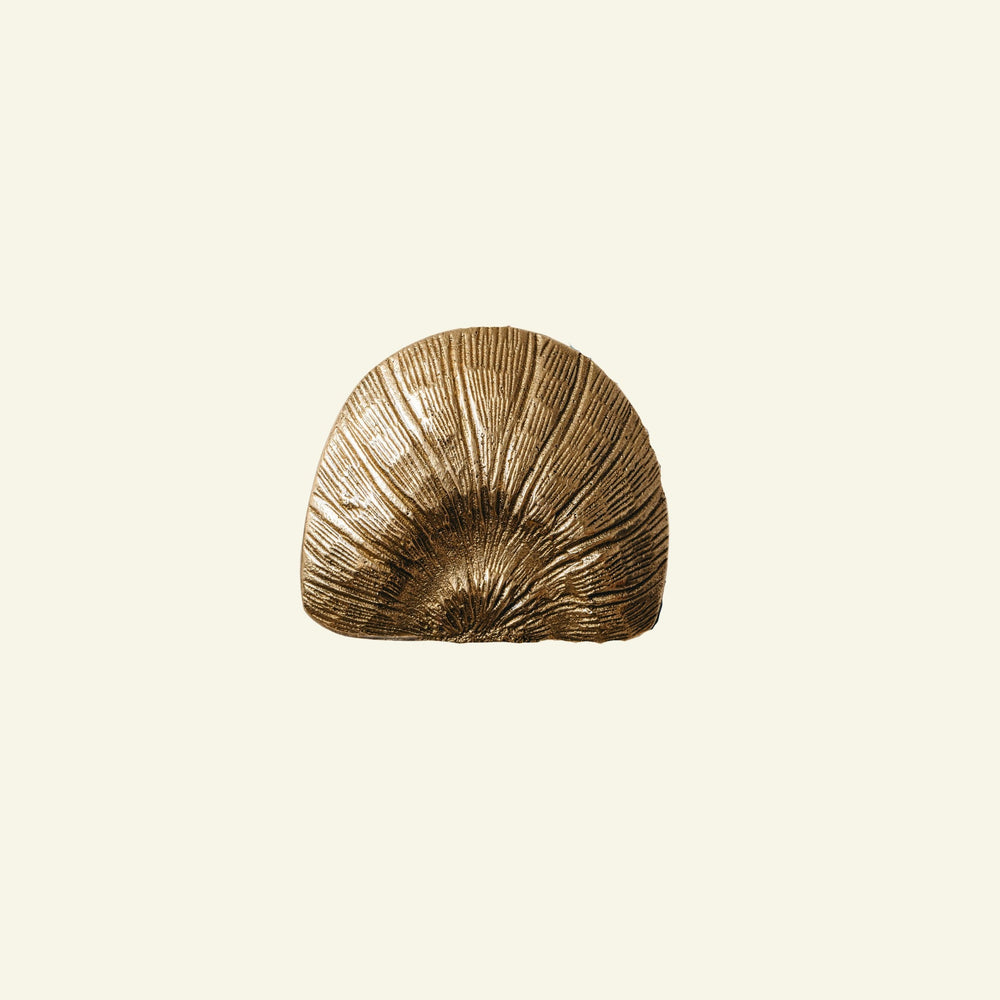 Cove Shell Knob, Lacquered Brass