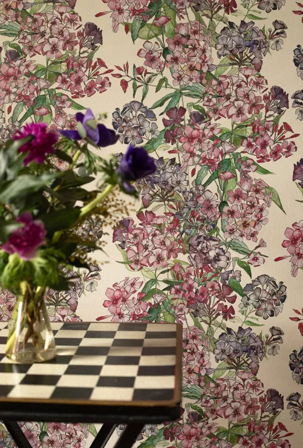 Mixed Phlox Rows Wallpaper