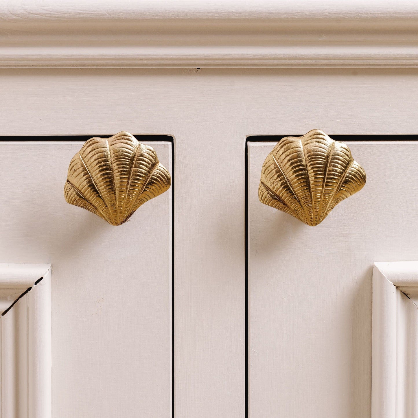 Curved Shell Knob, Lacquered Brass