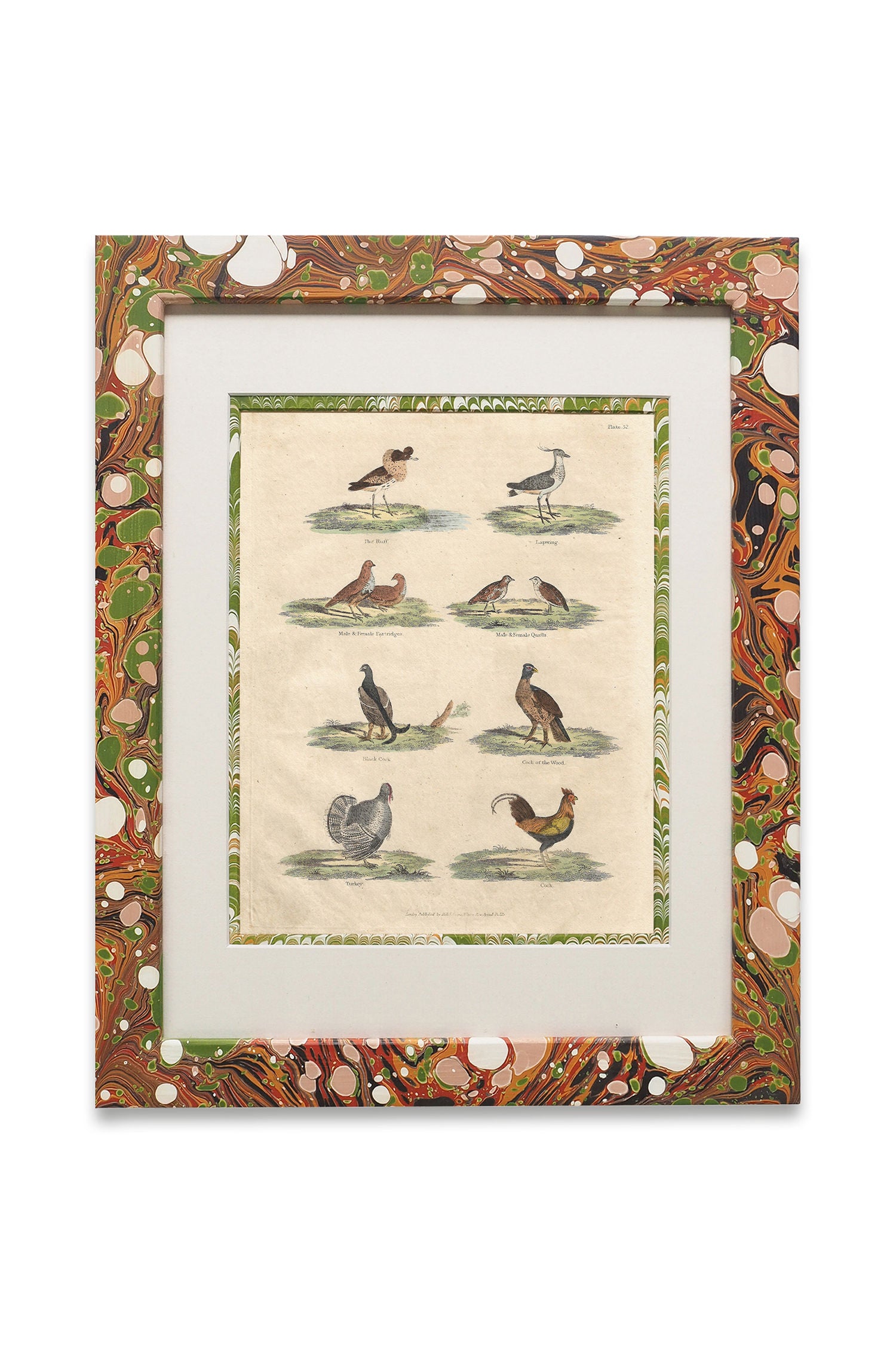 Buffon No.52 Igneus Framed Print