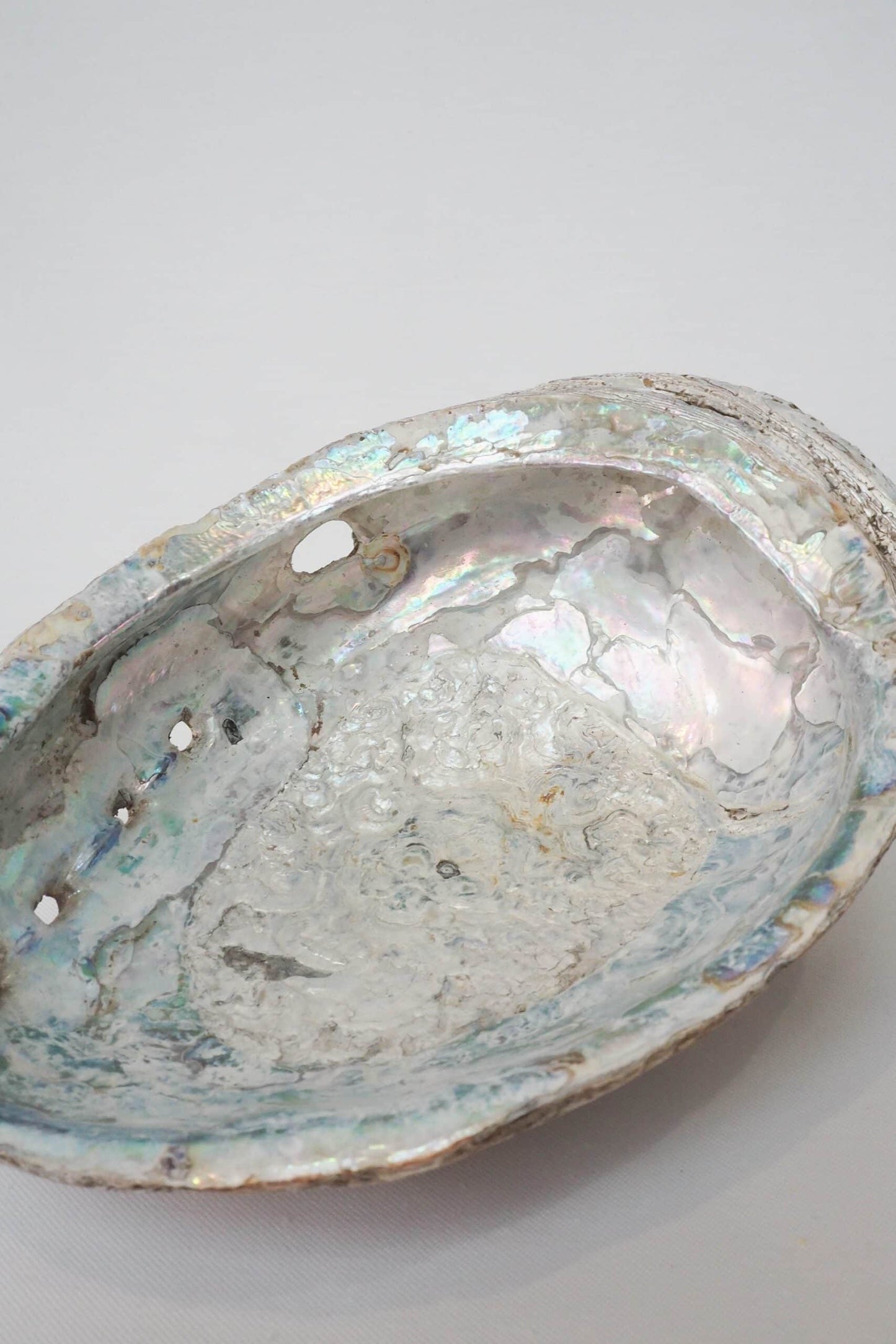 Extra Large Vintage Shell