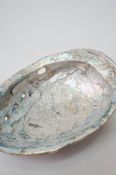 Extra Large Vintage Shell