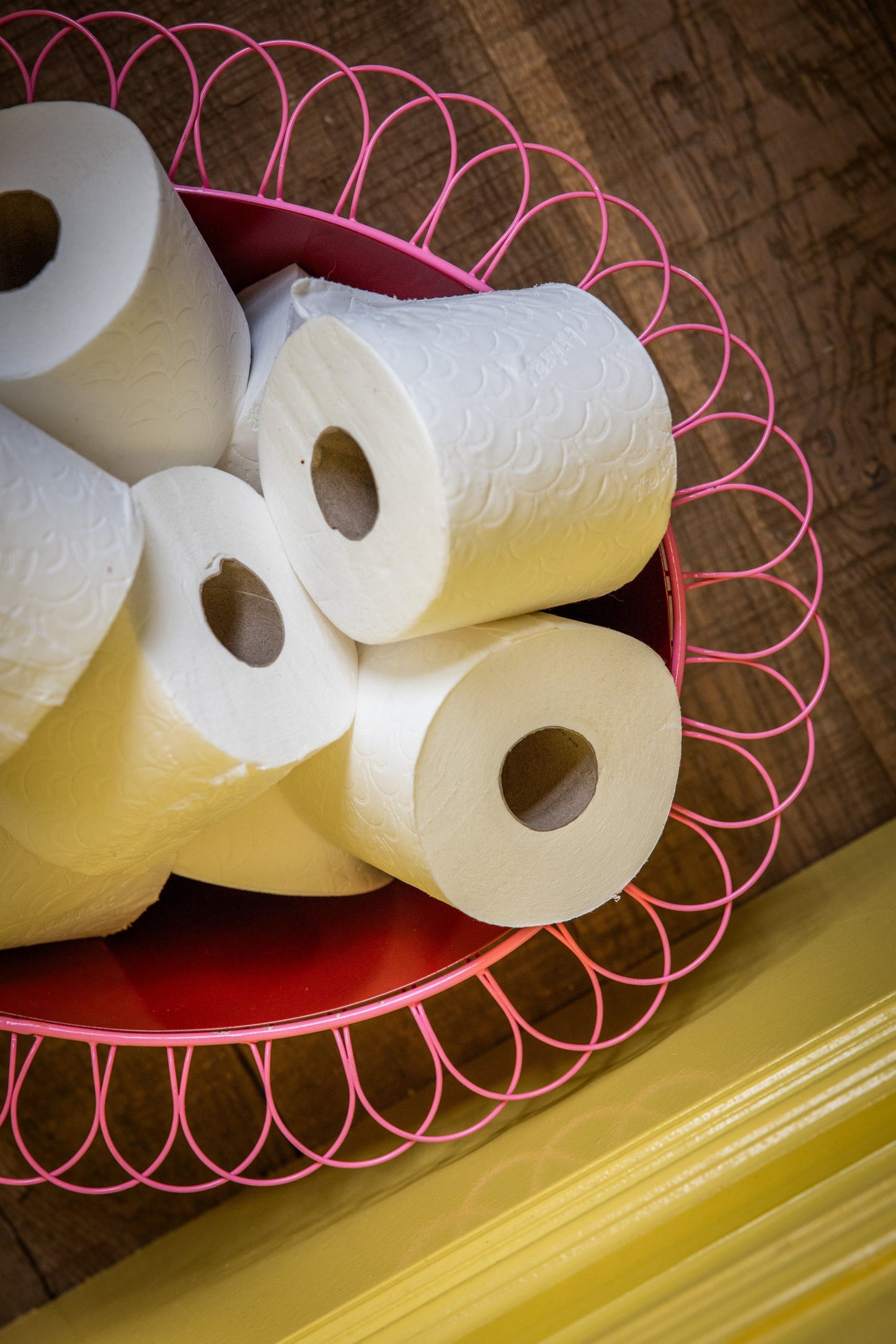 Wire Basket Planter | Ruby Red and Candy Pink