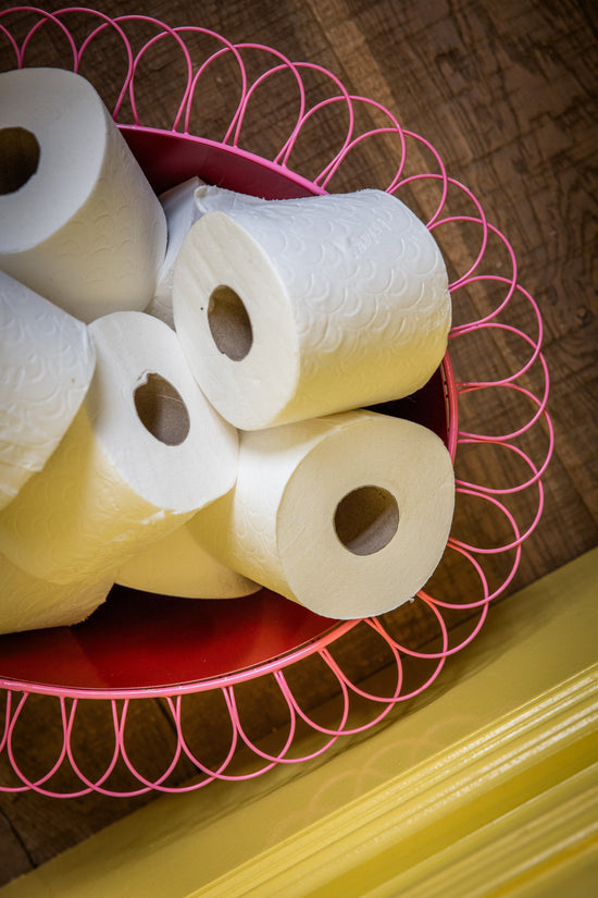 Wire Basket Planter | Ruby Red and Candy Pink
