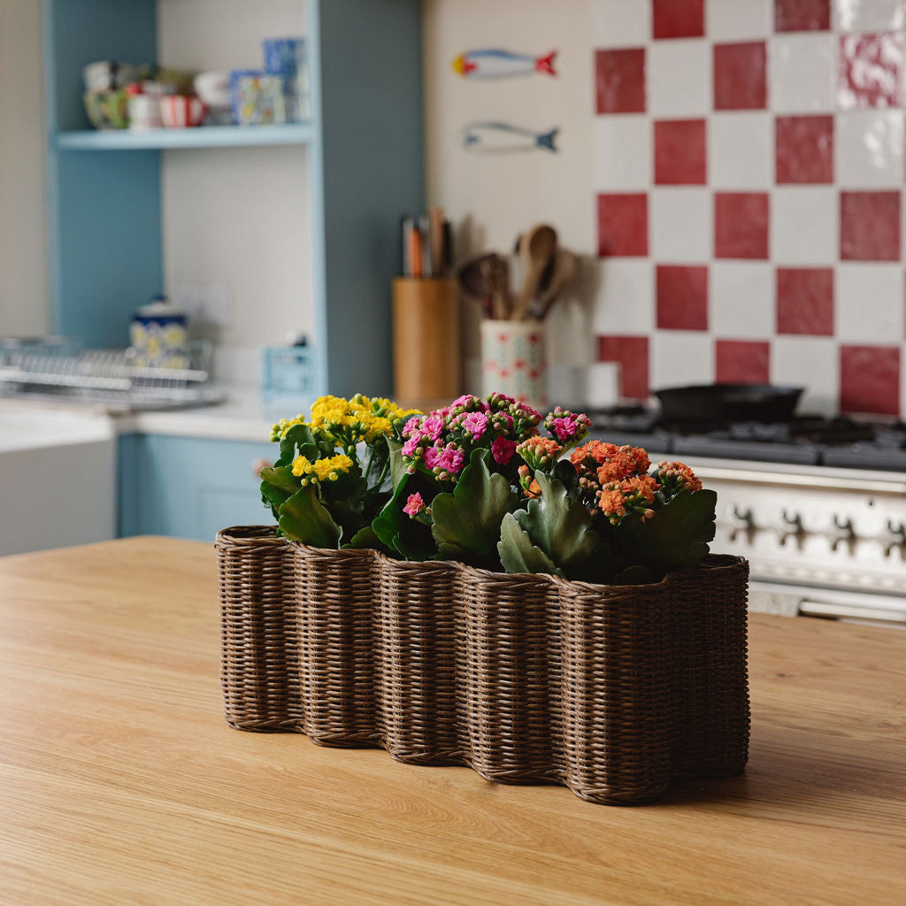 Poppy Planter & Basket, Long