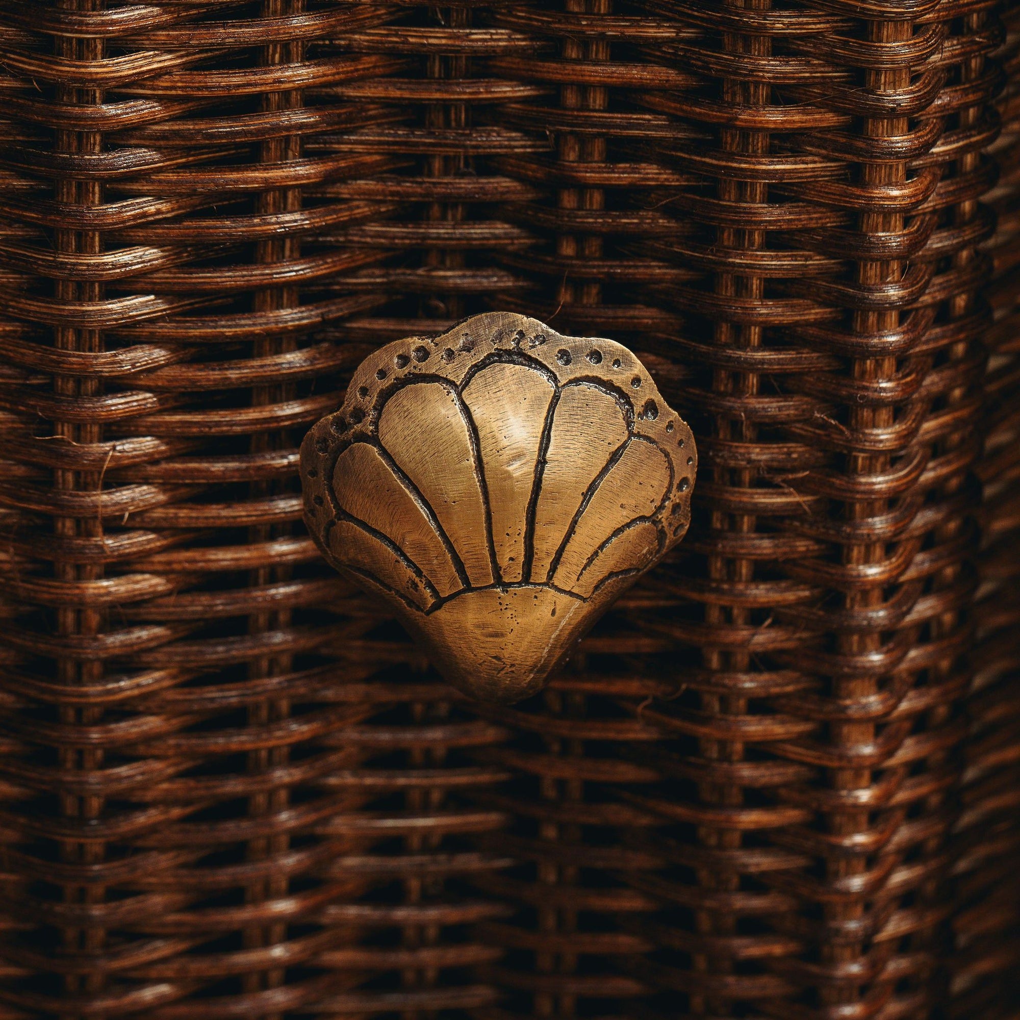 Chunky Shell Knob, Antique Brass