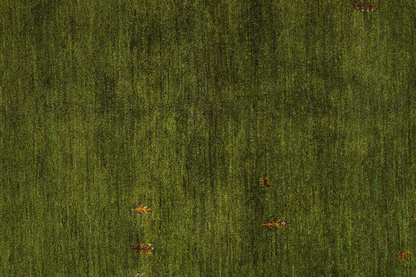 Gabbeh Rug