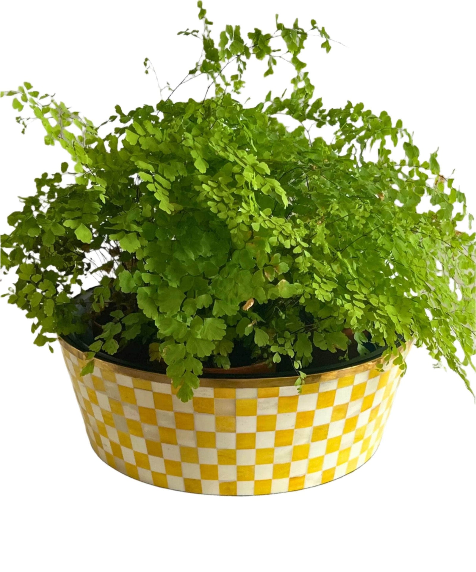 Round Inlay Planter | Large |Yellow | Chequered