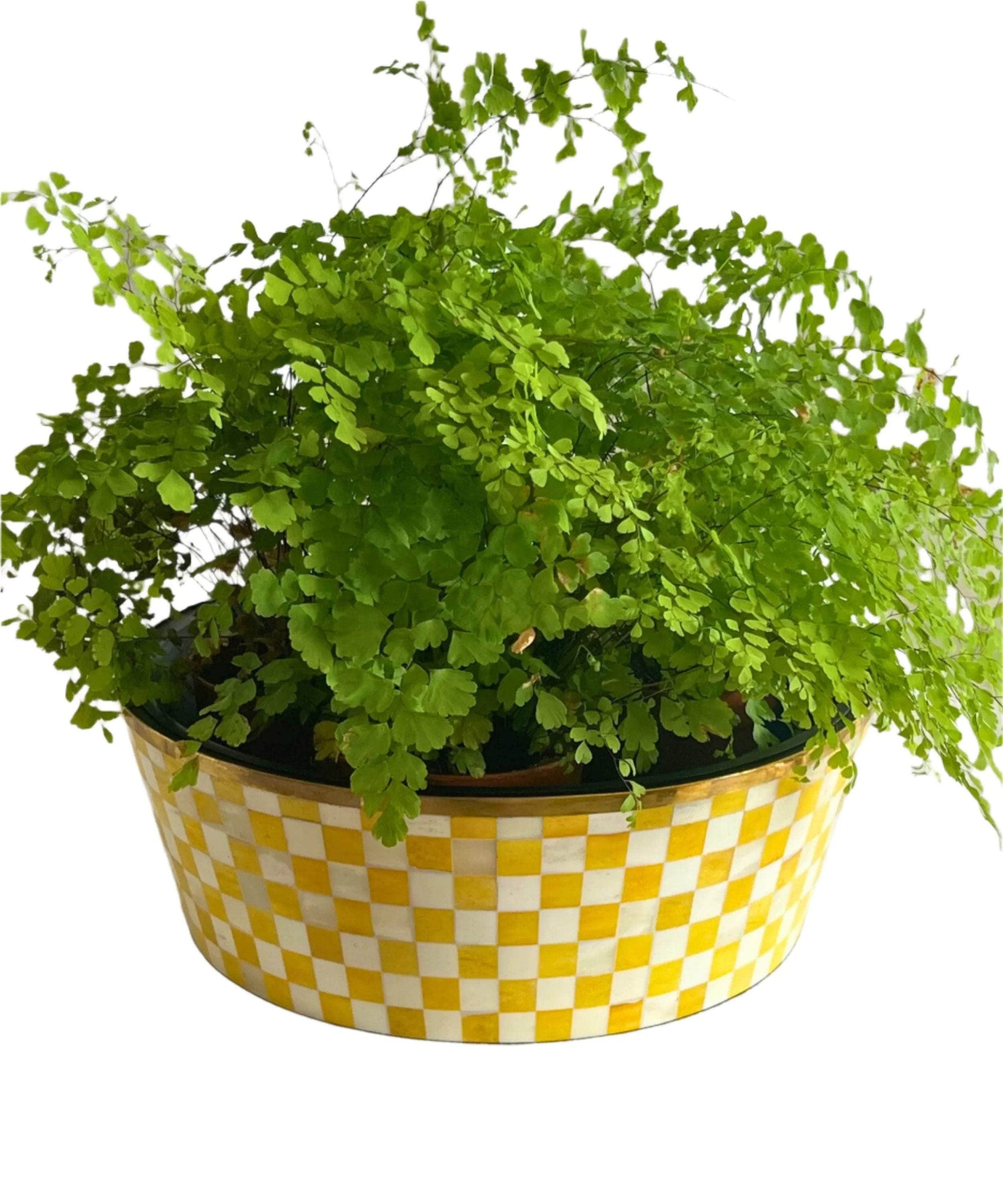 Round Inlay Planter | Large |Yellow | Chequered