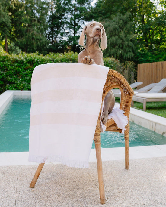 Striped Cotton Beach Towel with Frayed Edge - Beige