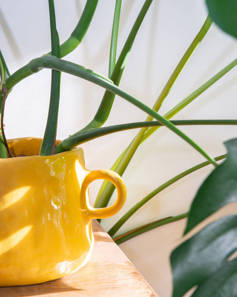 Chunky Planter