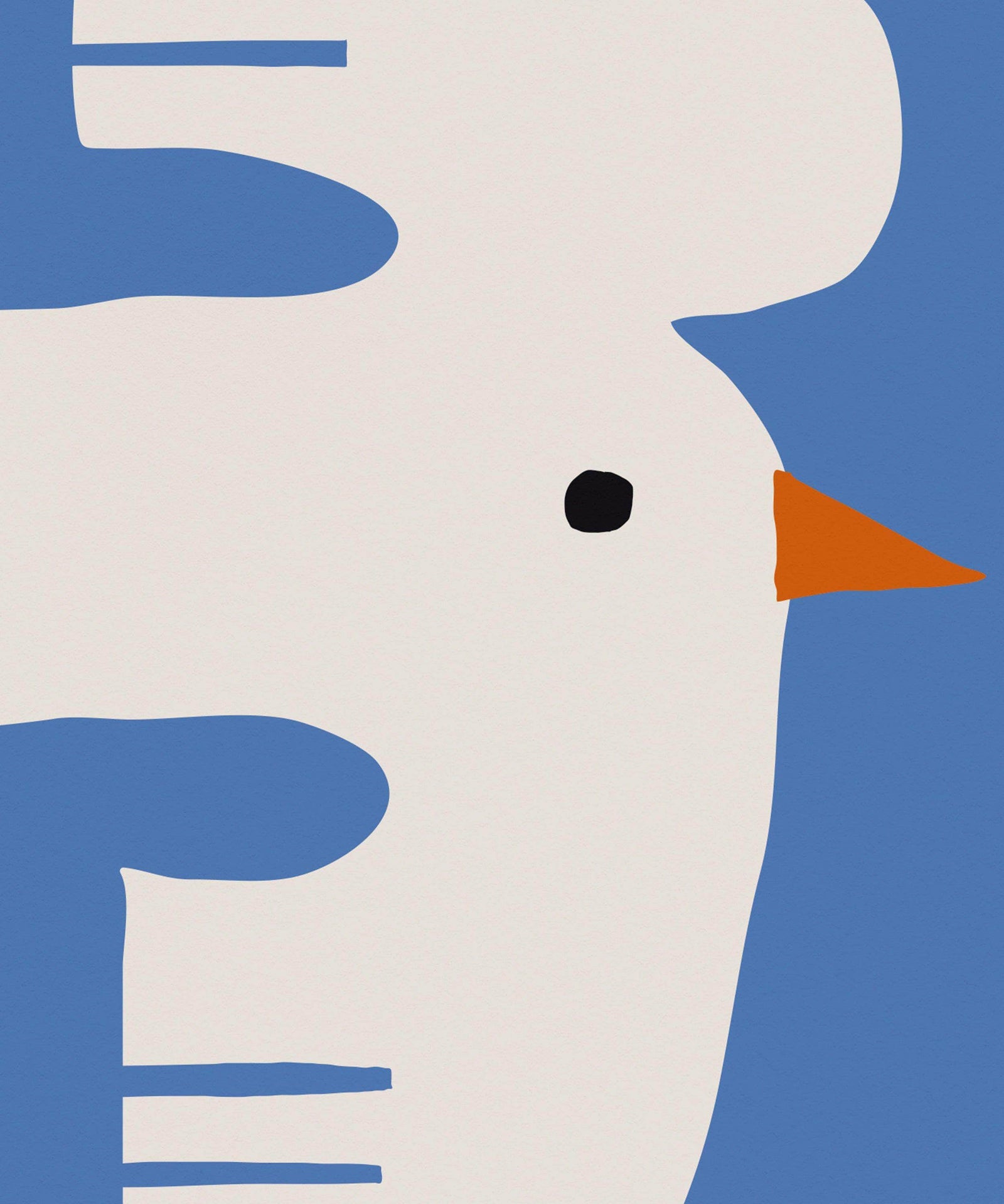 S for Seagull Print
