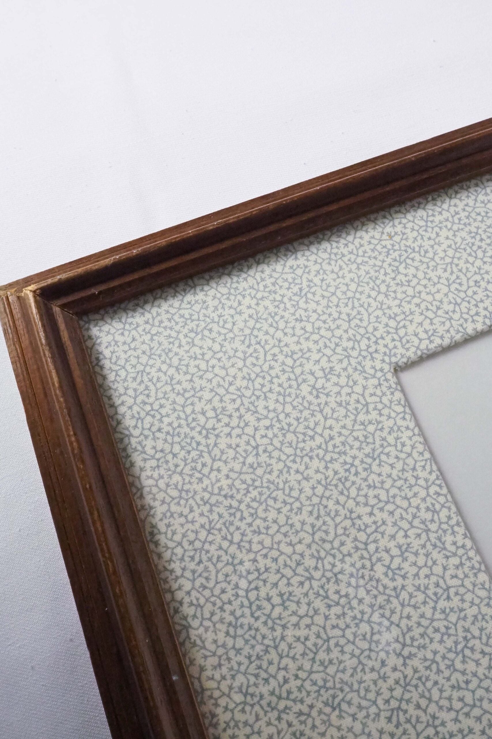 Framed Antique Eagle Print