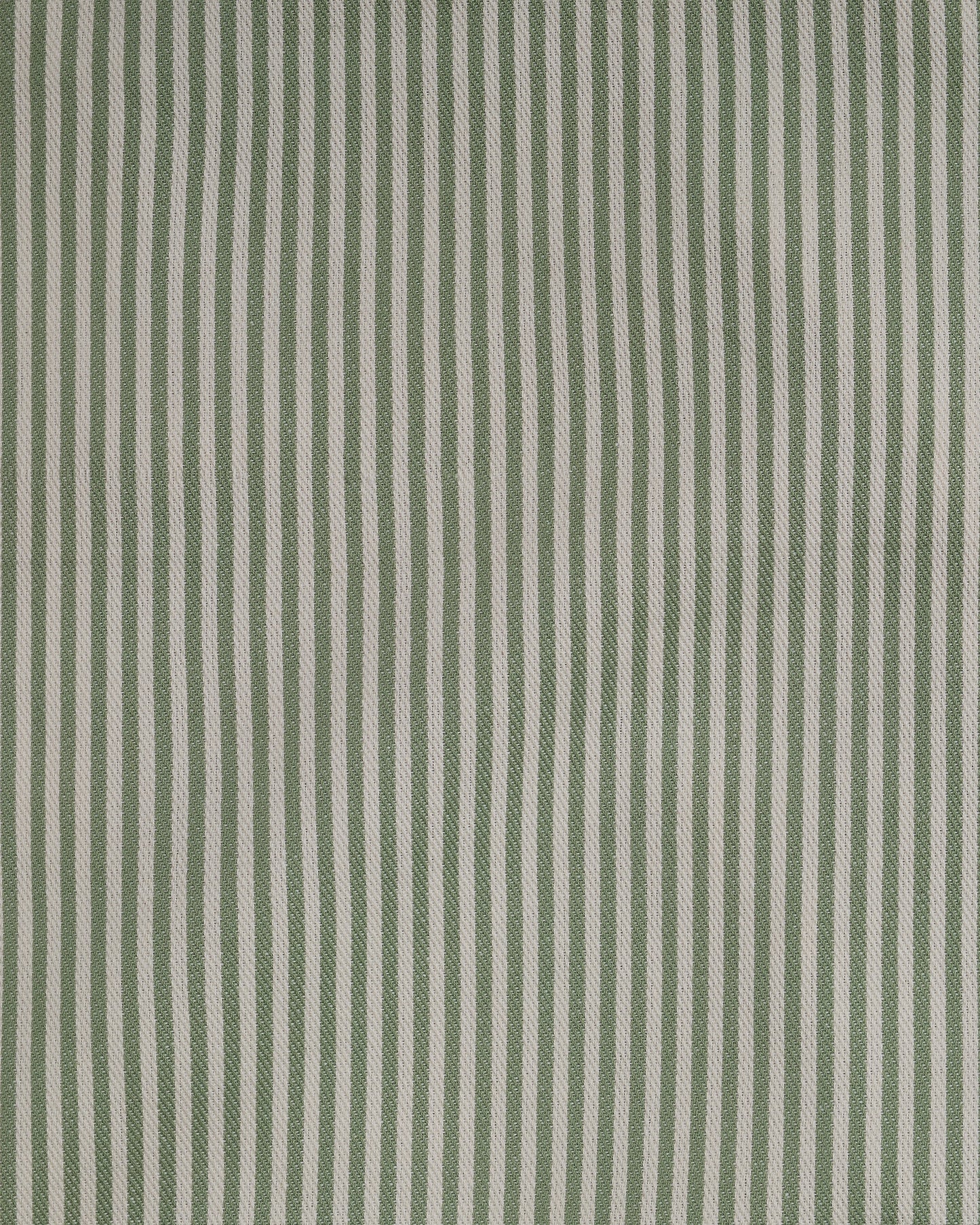 The Fine Stripe in Sage