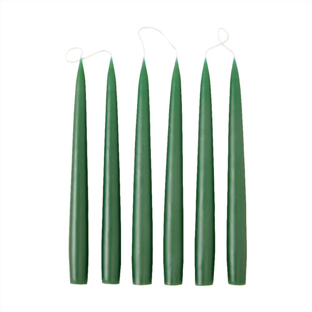 Taper 25 - Pine Green
