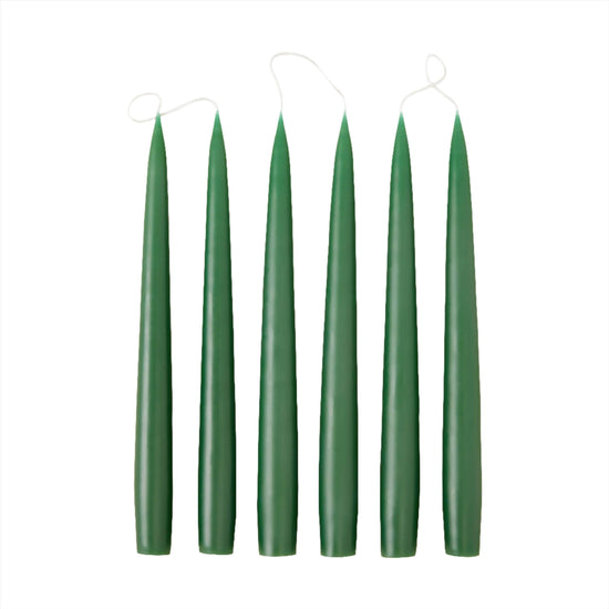 Taper 25 - Pine Green