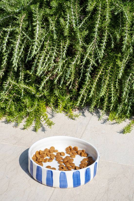 Blue Stripes Cat Bowl