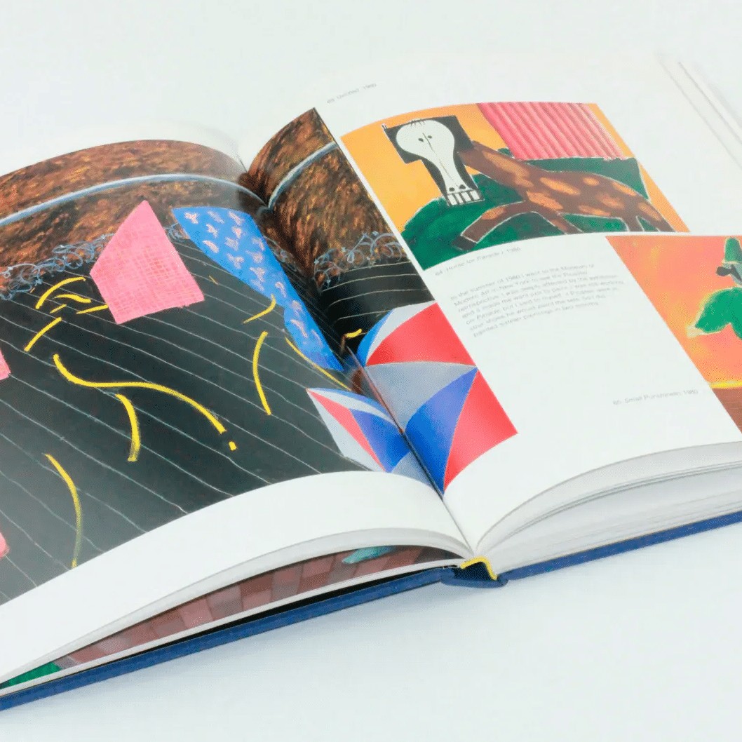 That's the way I see it: David Hockney Vintage Book