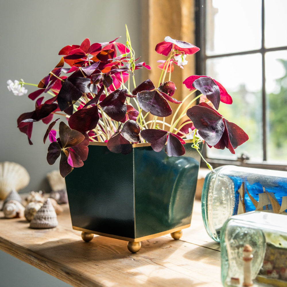 Square Planter | Small | Forest Green