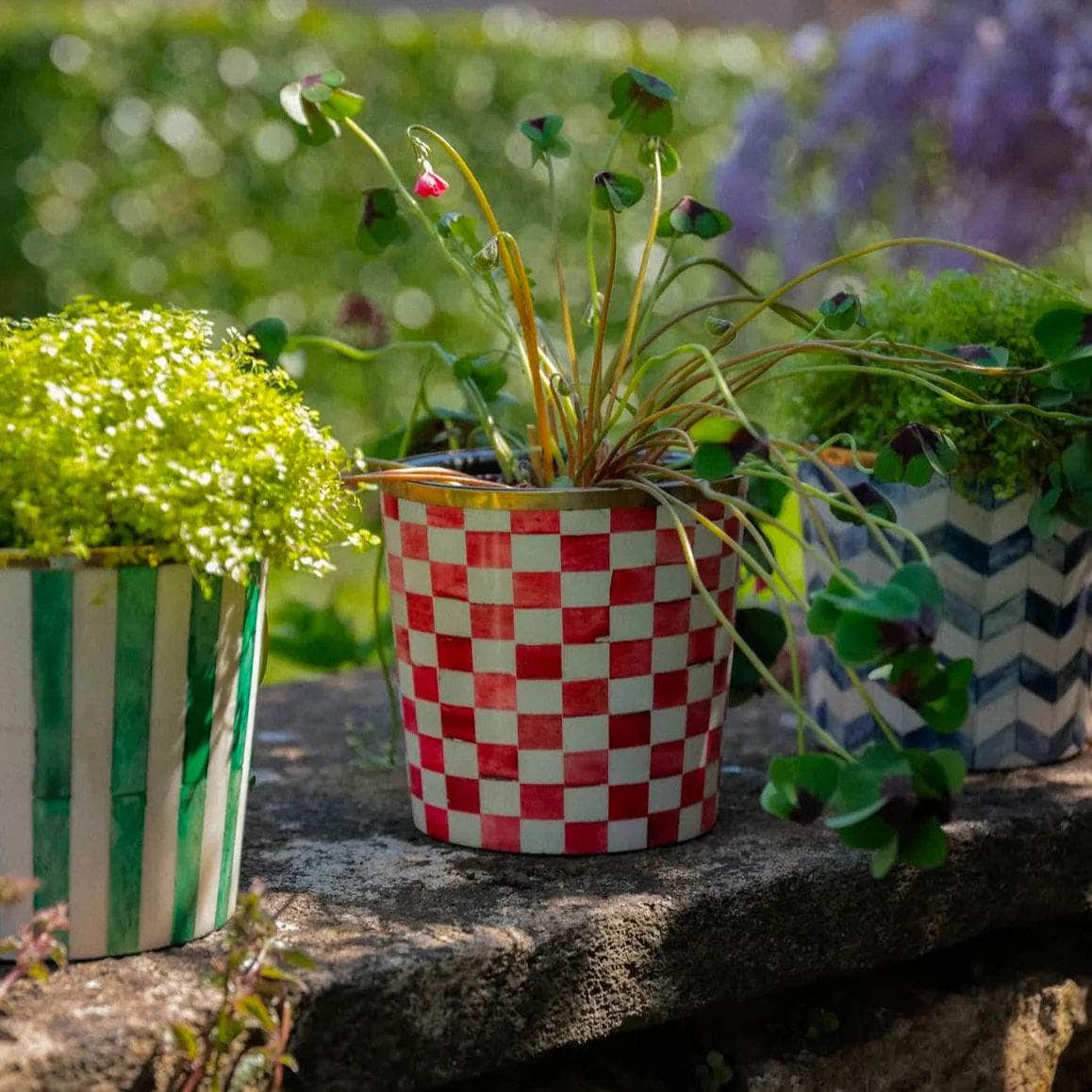 Round Inlay Planter | Medium | Green | Striped