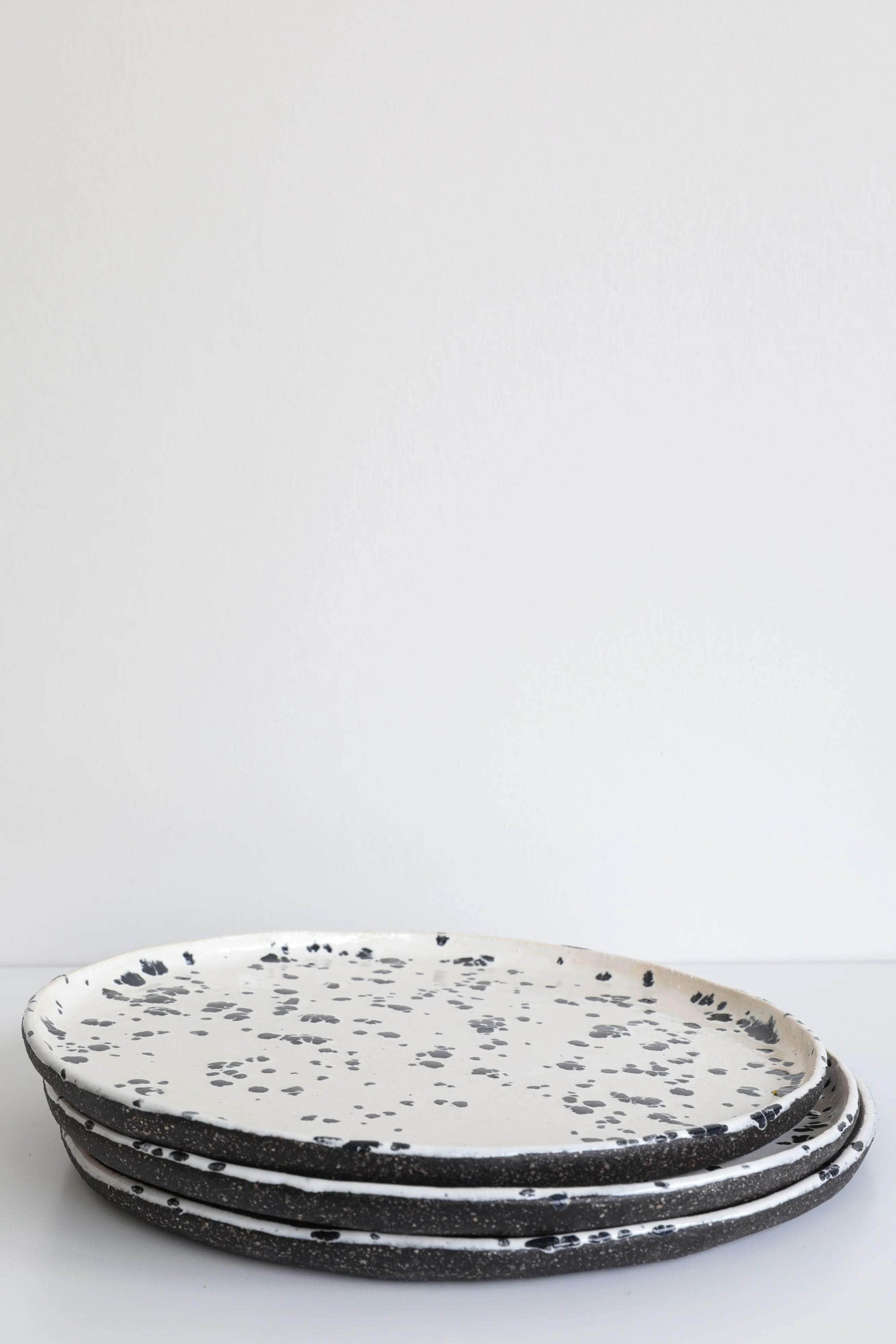 Spotted Dog Galaxy Flat Plate