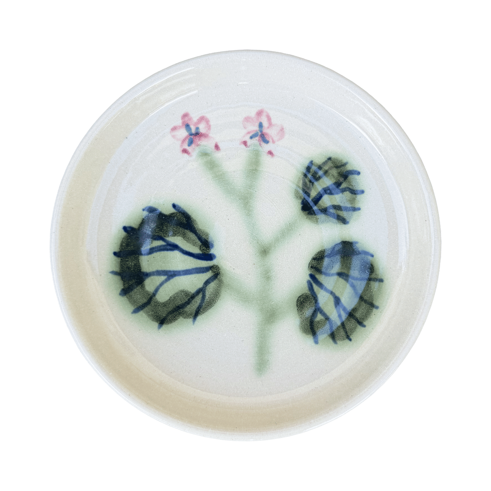 Pelargonium Dish