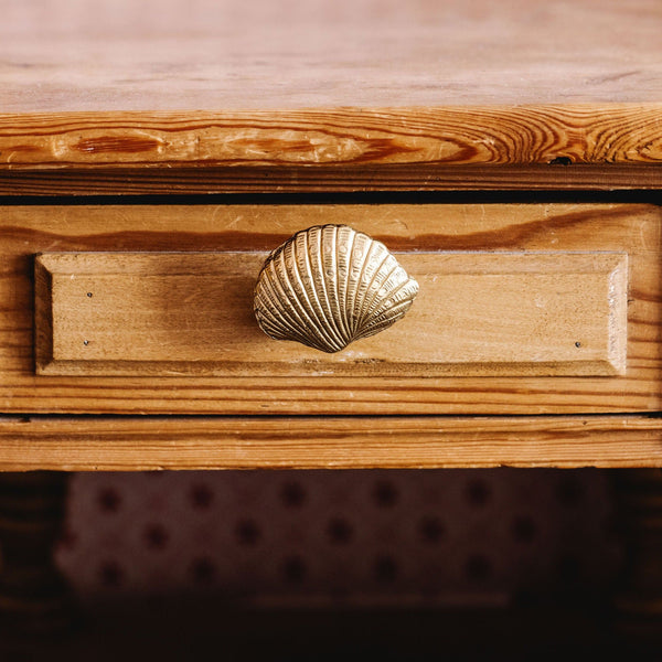 Cockle Shell Knob, Antique Brass