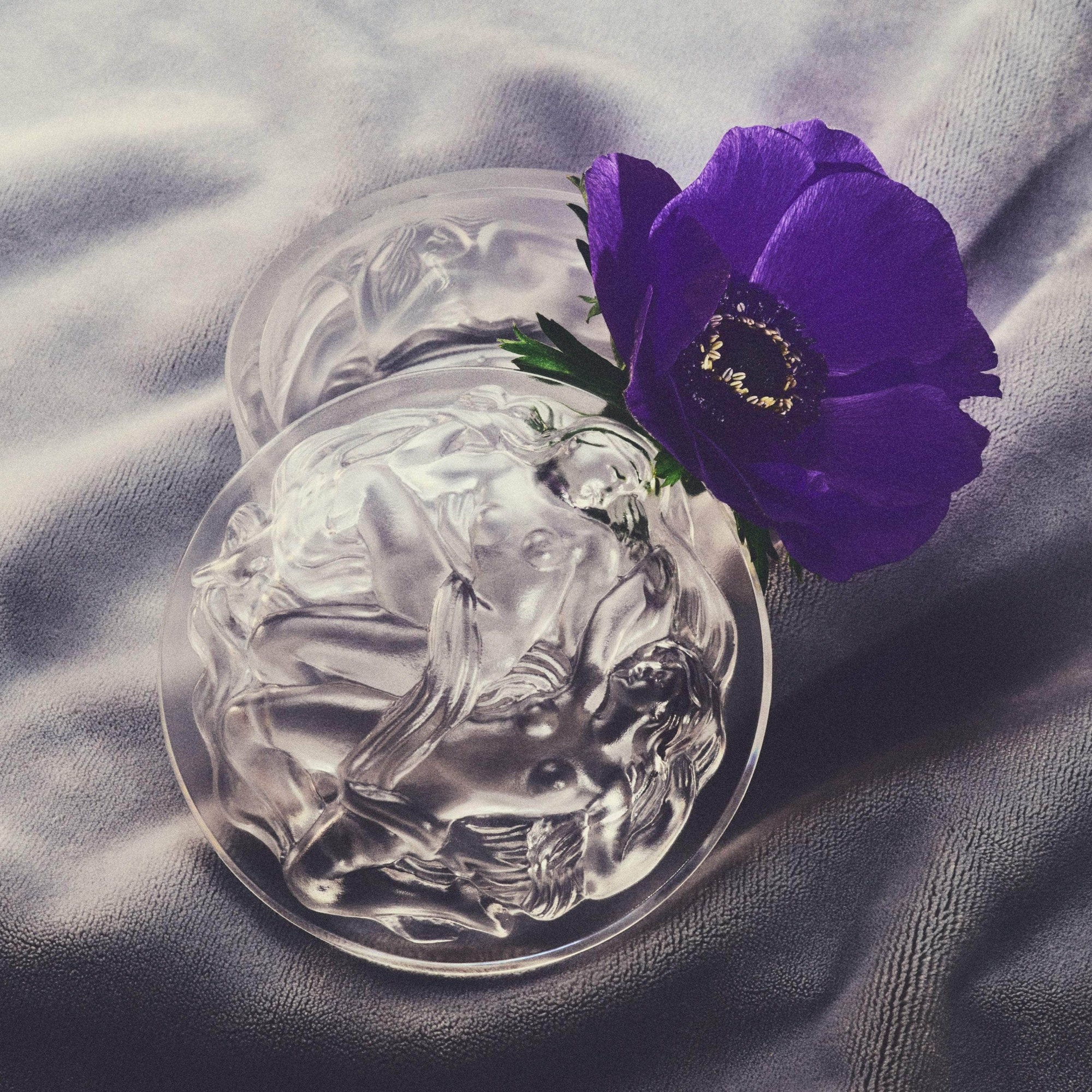 Michael Bonbonnière Clear