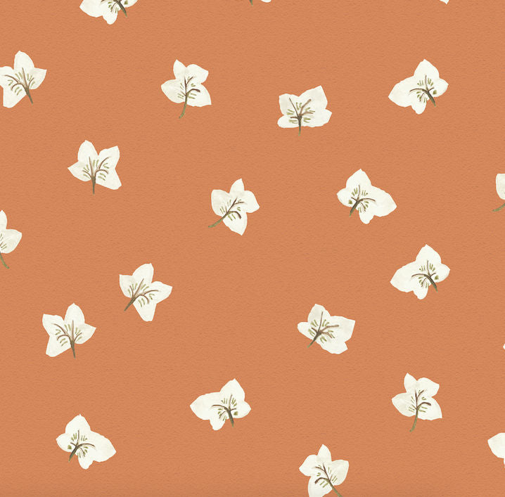 All Year Hellebores Wallpaper – SIENNA